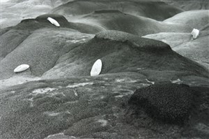 Image description is not available for 2018.074